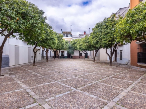 Imagen 2 de Impresionante dúplex con terraza exclusiva en el corazón de Sevilla