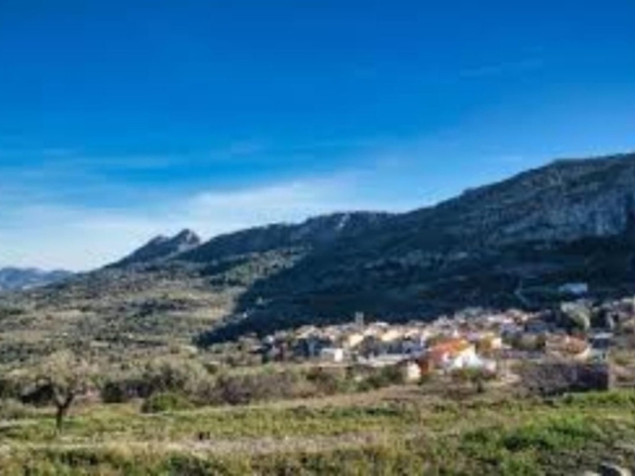 La Alicante
