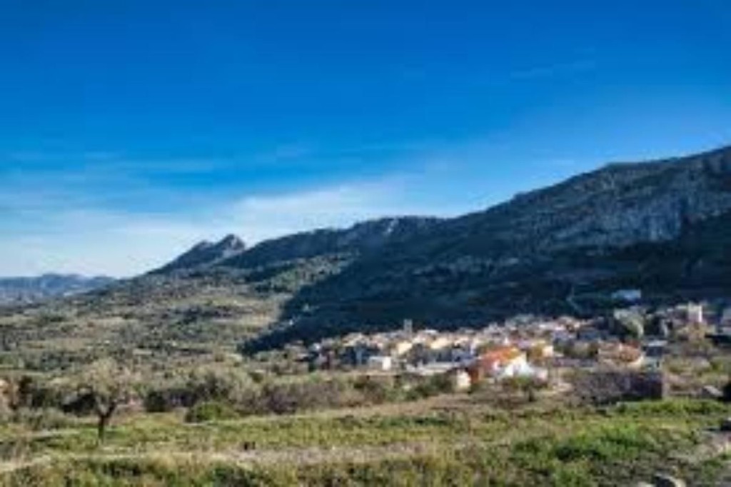 La Alicante