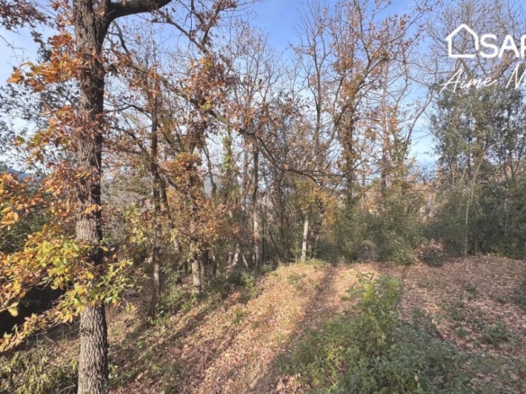 Imagen 2 de Masía Para Reconstruir - Pleno Bosque - Vistas Panorámicas. ESTADO ACTUAL EN RUINA
