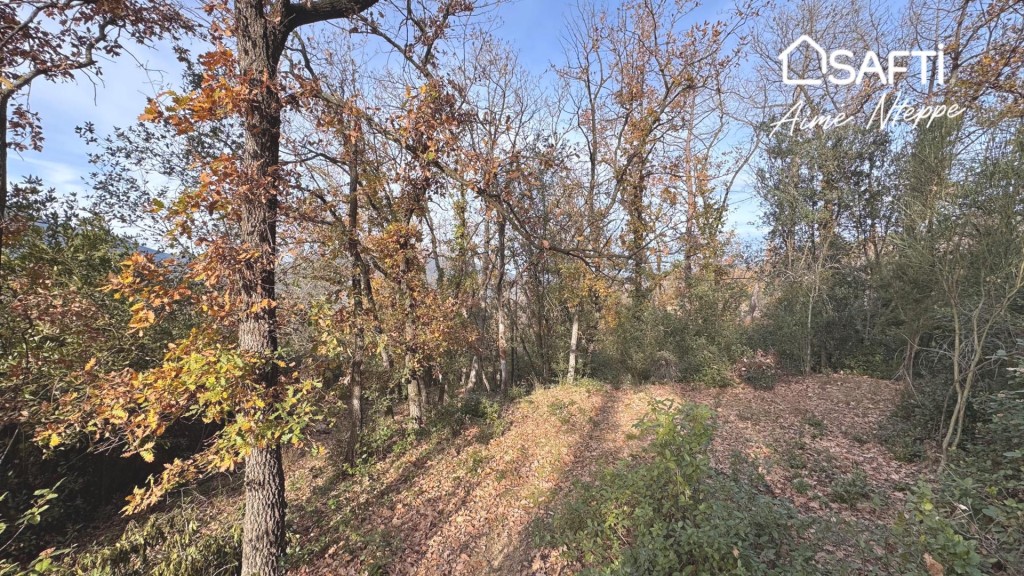 Imagen 2 de Masía Para Reconstruir - Pleno Bosque - Vistas Panorámicas. ESTADO ACTUAL EN RUINA
