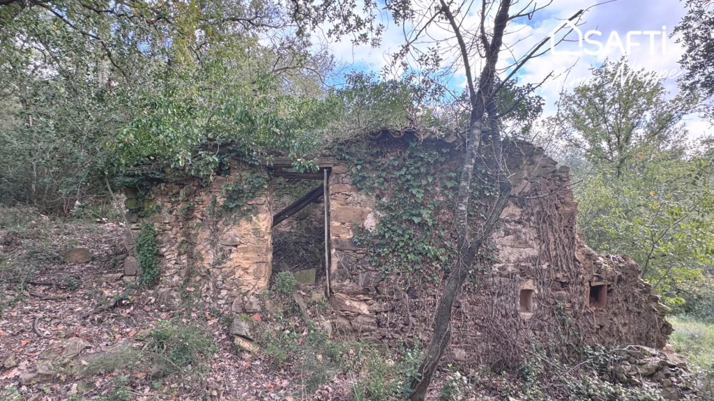 Imagen 3 de Masía Para Reconstruir - Pleno Bosque - Vistas Panorámicas. ESTADO ACTUAL EN RUINA