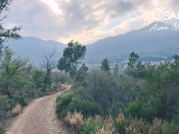 Imagen 4 de Masía Para Reconstruir - Pleno Bosque - Vistas Panorámicas. ESTADO ACTUAL EN RUINA