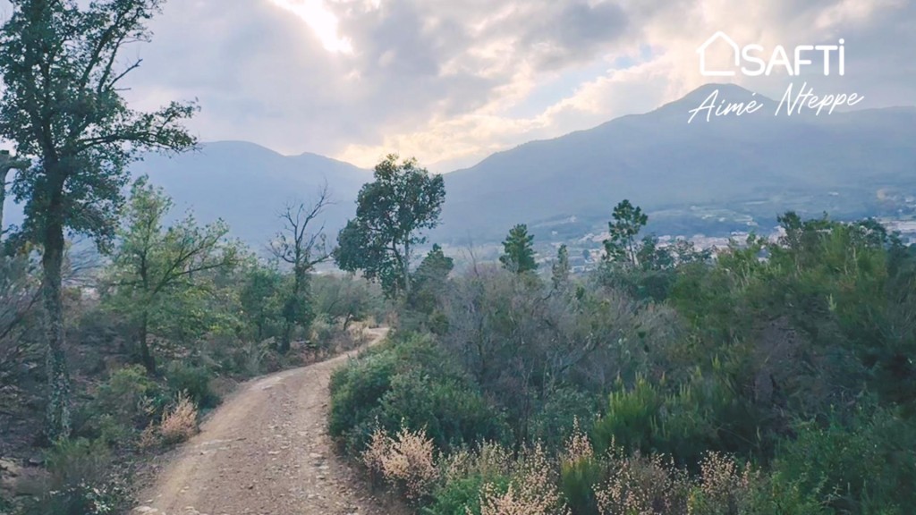Imagen 4 de Masía Para Reconstruir - Pleno Bosque - Vistas Panorámicas. ESTADO ACTUAL EN RUINA