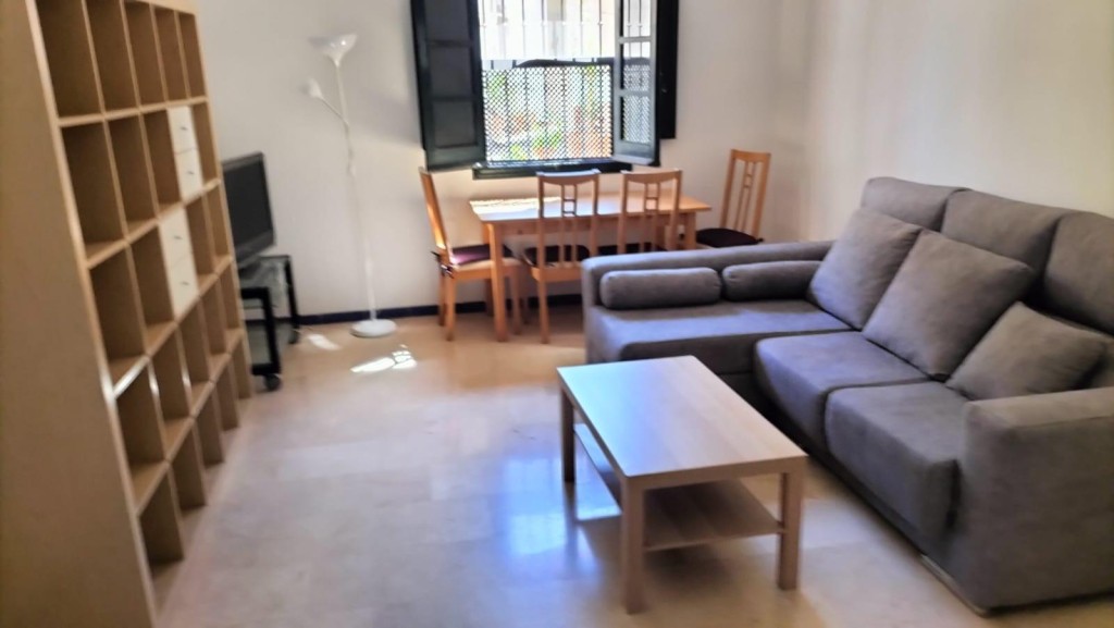 Imagen 1 de Bonito apartamento en La Alameda
