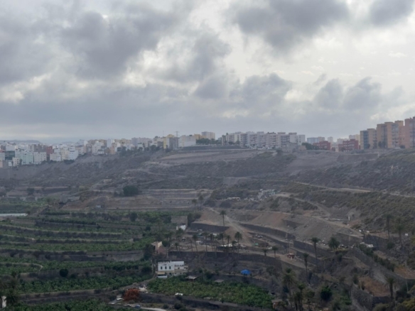 Las Las Palmas