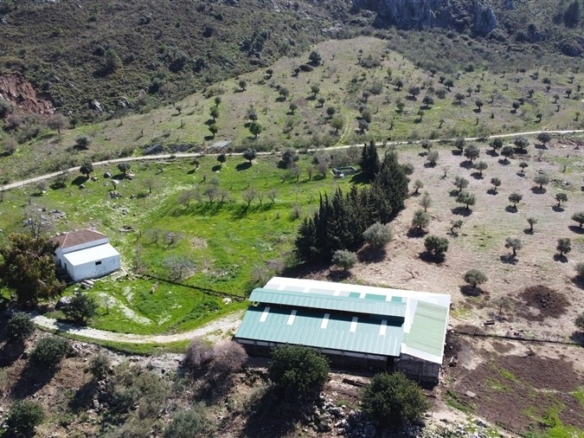 Imagen 3 de Casa de campo-Masía en Venta en Benalauria Málaga