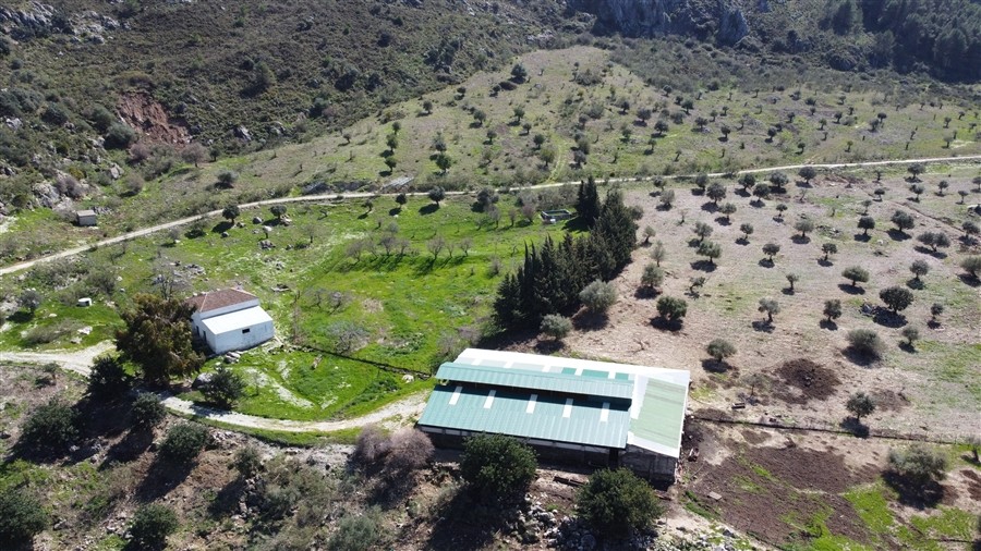 Imagen 3 de Casa de campo-Masía en Venta en Benalauria Málaga