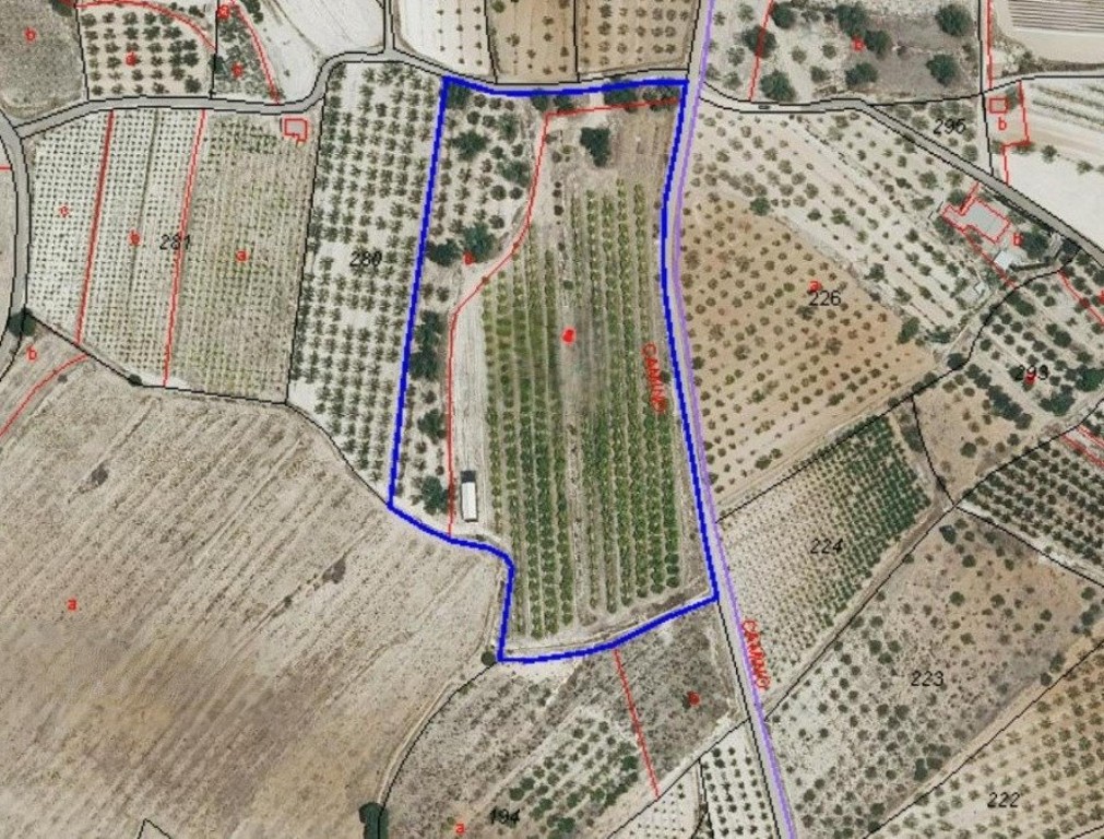 Imagen 1 de TERRENO A LA VENTA EN AIELO DE MALFERIT