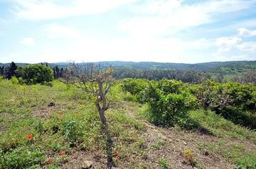 Imagen 3 de Casa de campo-Masía en Venta en San Martin Del Tesorillo Cádiz