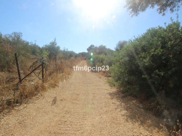 Imagen 2 de Suelo rústico en Venta en Casares Málaga