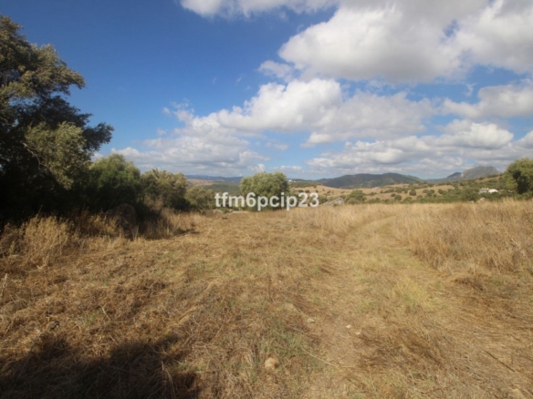 Imagen 3 de Suelo rústico en Venta en Casares Málaga