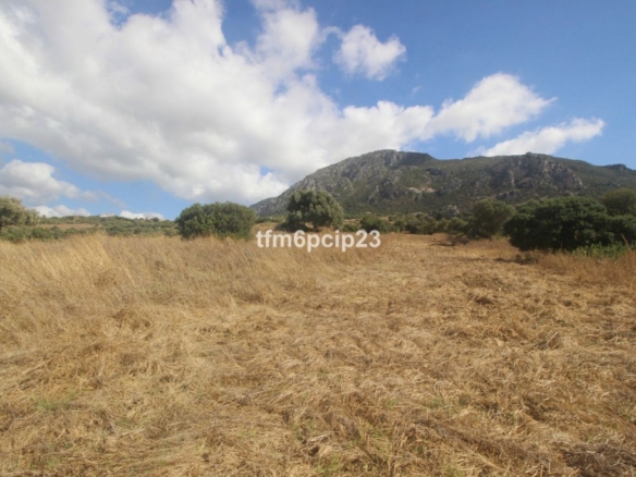 Imagen 4 de Suelo rústico en Venta en Casares Málaga