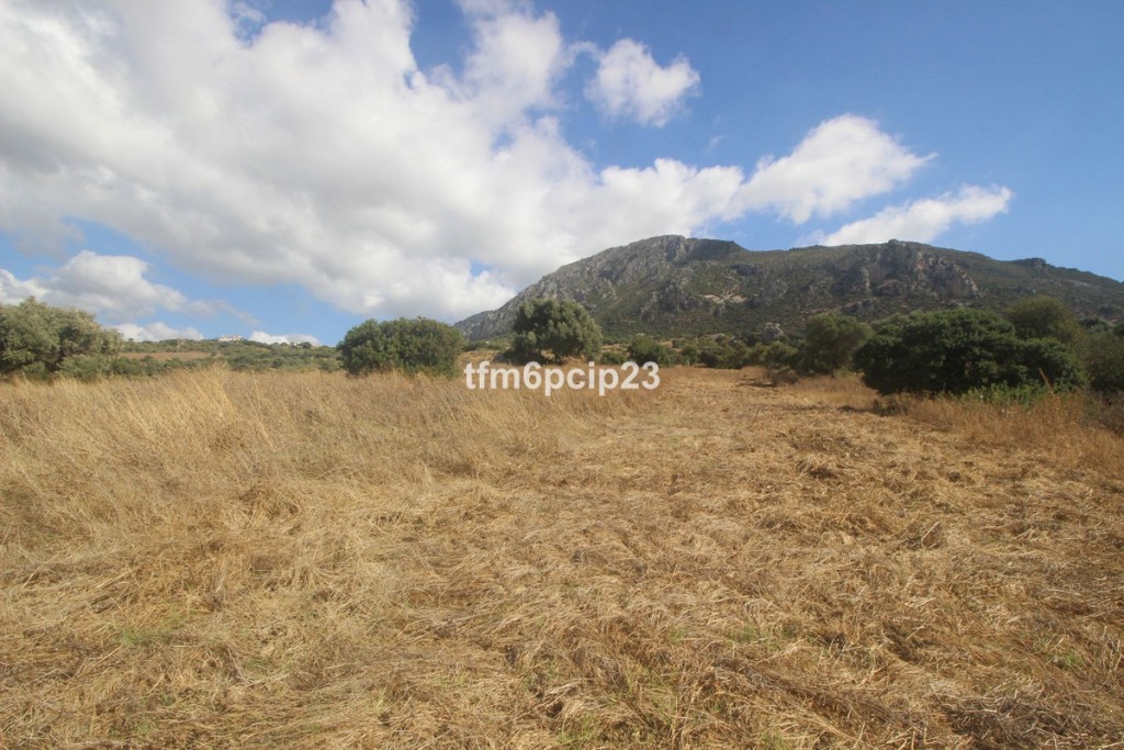 Imagen 4 de Suelo rústico en Venta en Casares Málaga