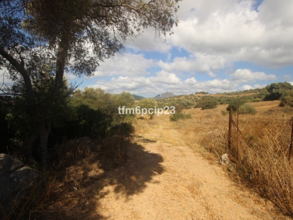 Imagen 1 de Suelo rústico en Venta en Casares Málaga