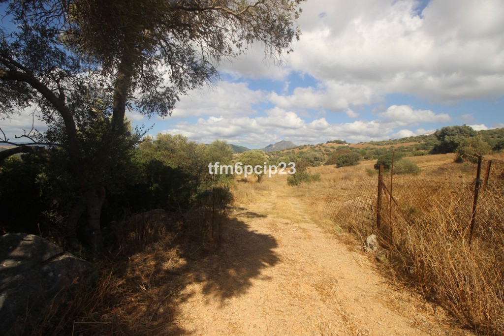 Imagen 1 de Suelo rústico en Venta en Casares Málaga