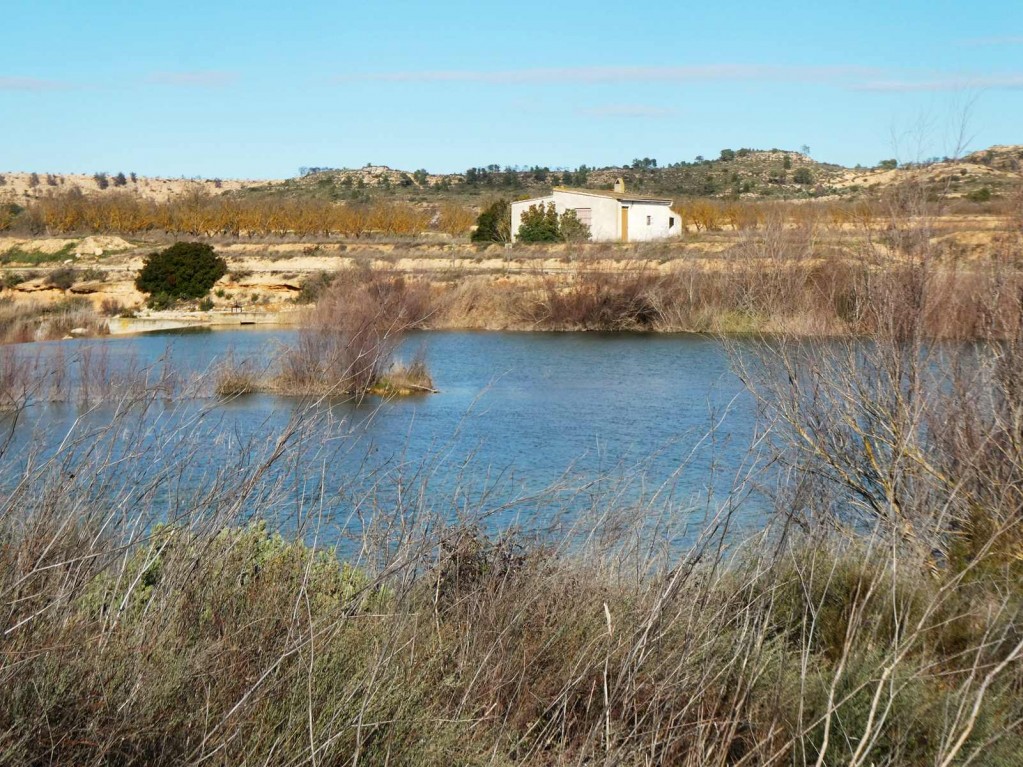 Imagen 1 de Suelo rústico en Venta en Fabara Zaragoza