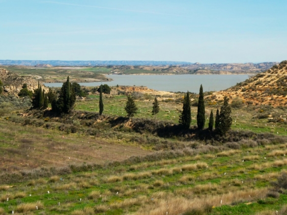 Imagen 2 de Suelo rústico en Venta en Caspe Zaragoza