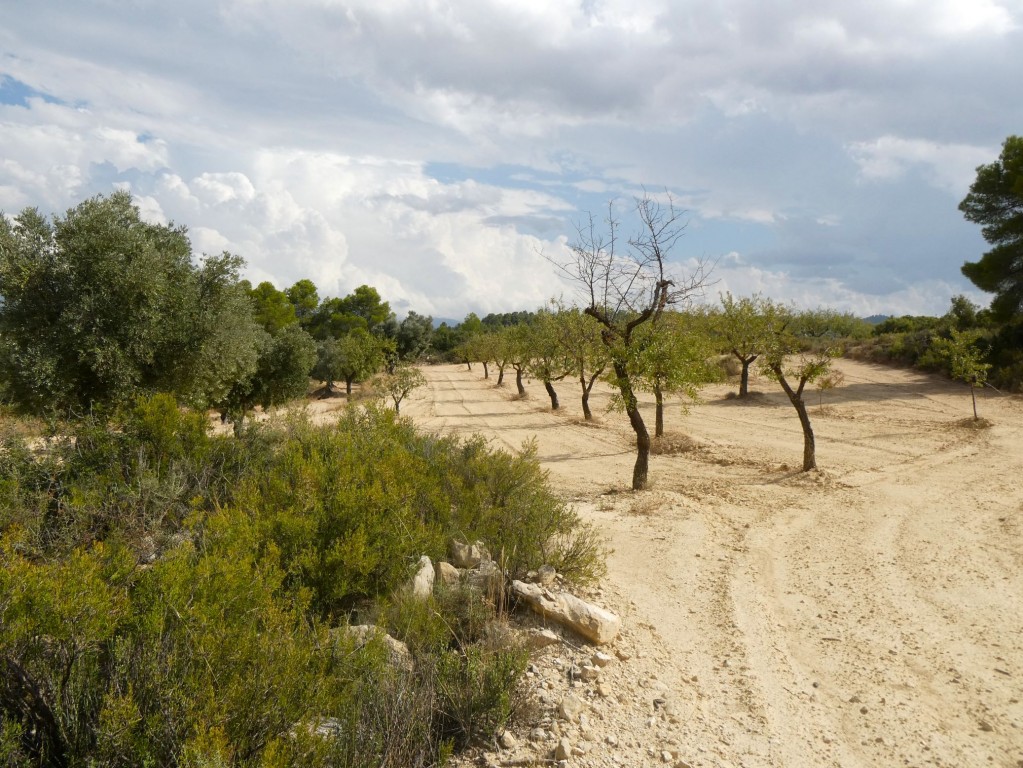 Imagen 1 de Suelo rústico en Venta en Calaceite Teruel