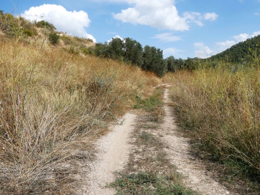 Imagen 3 de Suelo rústico en Venta en Caseres Tarragona