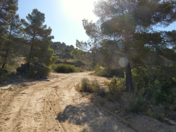 Imagen 4 de Suelo rústico en Venta en Mazaleon Teruel