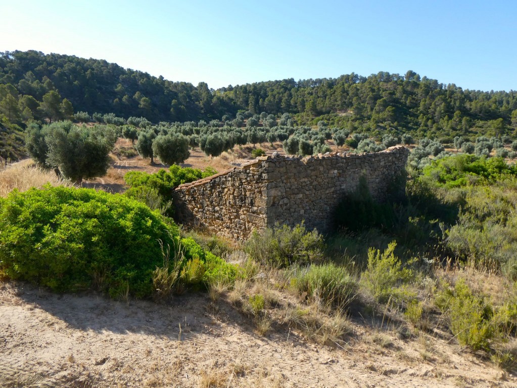 Imagen 1 de Suelo rústico en Venta en Mazaleon Teruel