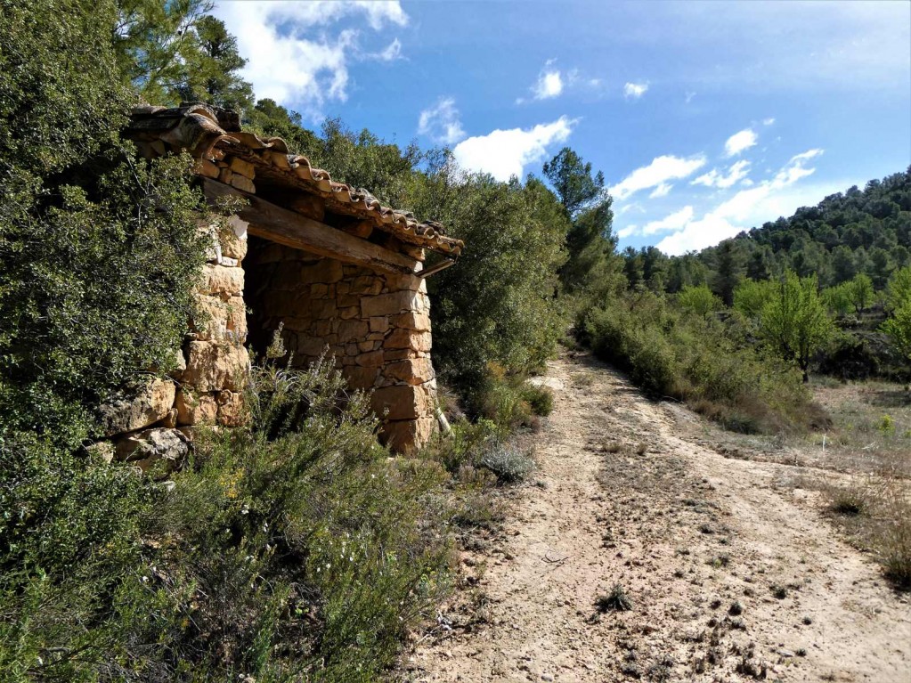 Imagen 2 de Suelo rústico en Venta en Lledo Teruel