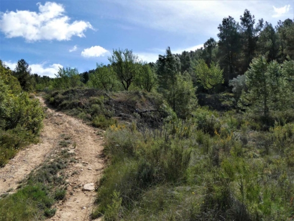 Imagen 4 de Suelo rústico en Venta en Lledo Teruel