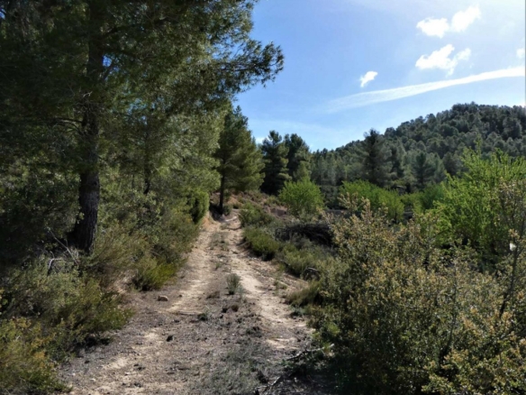Imagen 1 de Suelo rústico en Venta en Lledo Teruel