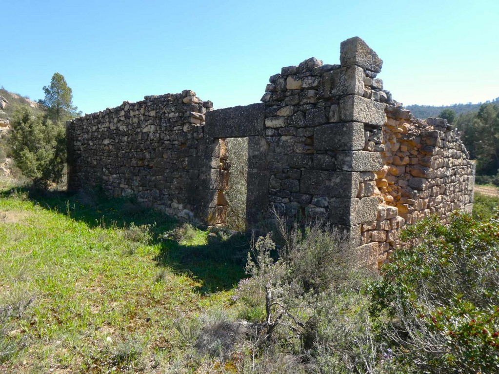 Imagen 3 de Suelo rústico en Venta en Caseres Tarragona