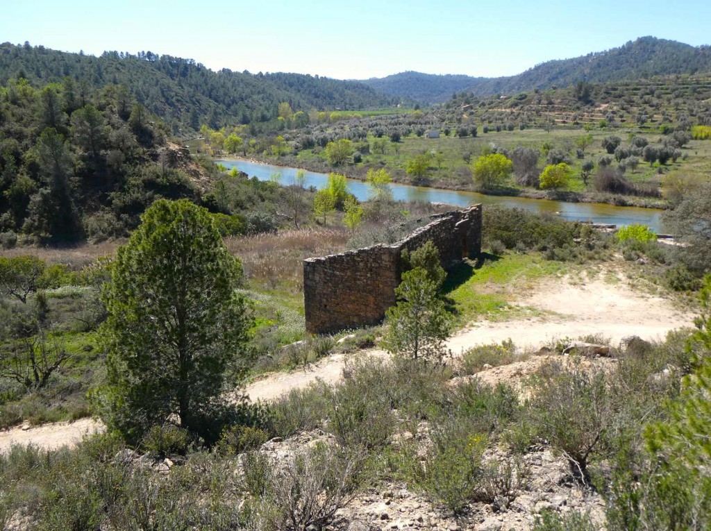 Imagen 1 de Suelo rústico en Venta en Caseres Tarragona