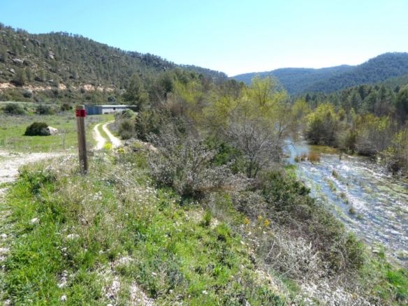 Imagen 2 de Suelo rústico en Venta en Caseres Tarragona