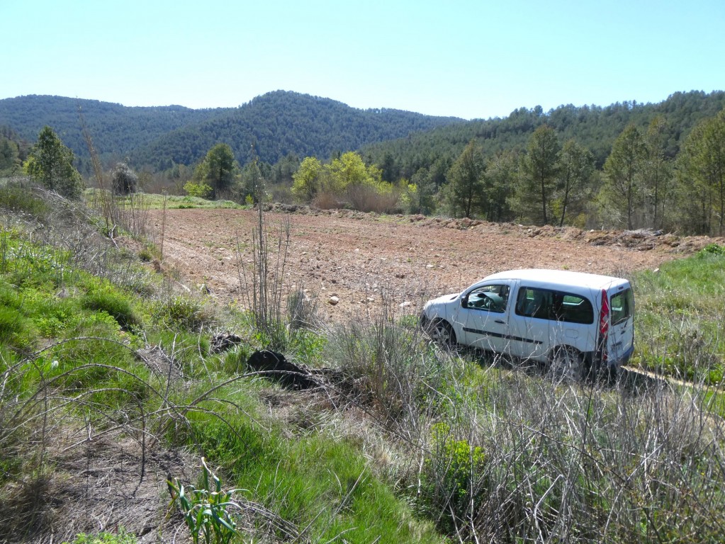 Imagen 3 de Suelo rústico en Venta en Caseres Tarragona