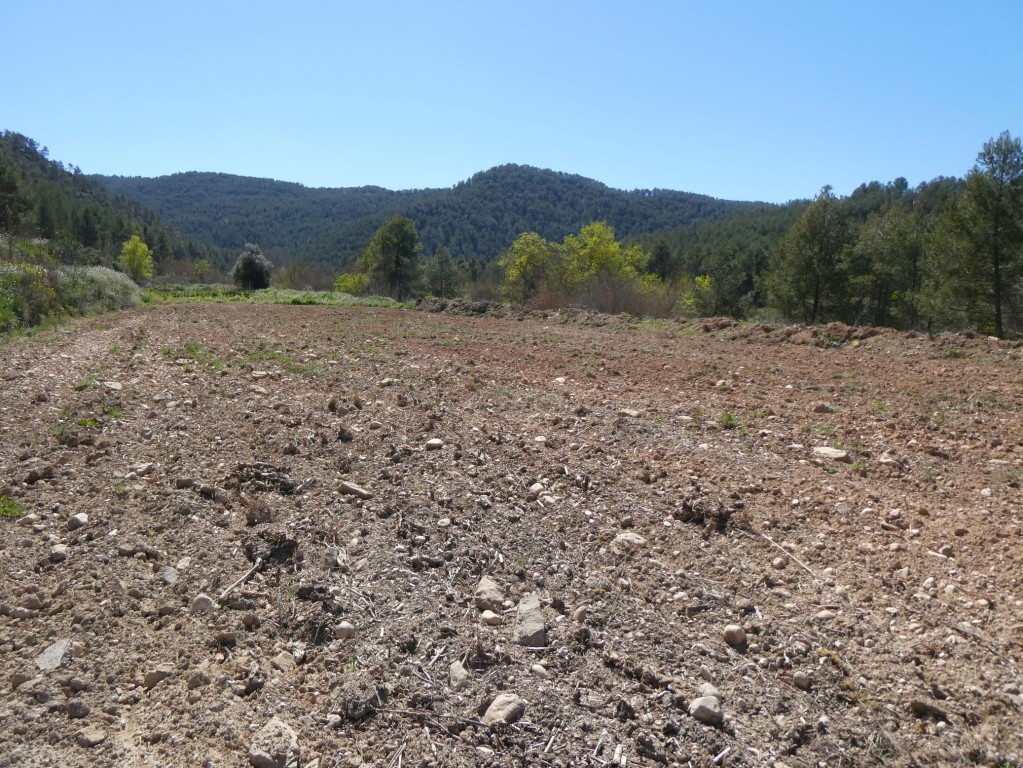 Imagen 4 de Suelo rústico en Venta en Caseres Tarragona