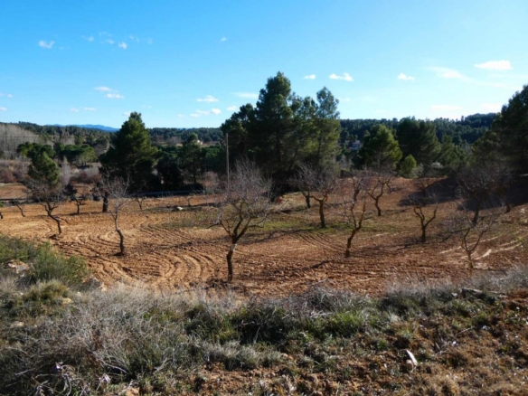Imagen 2 de Suelo rústico en Venta en Mazaleon Teruel