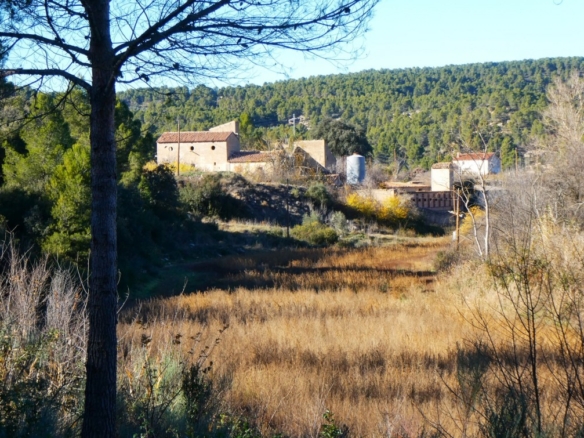 Imagen 1 de Suelo rústico en Venta en Mazaleon Teruel