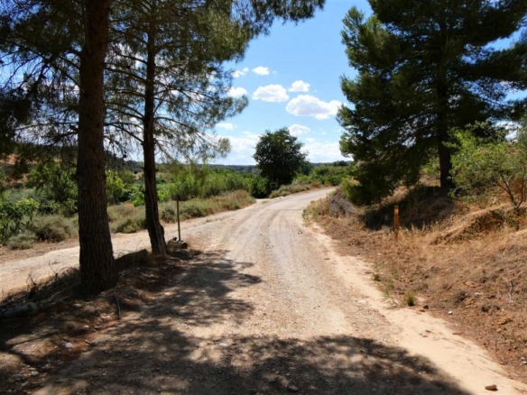 Imagen 2 de Suelo rústico en Venta en Caspe Zaragoza