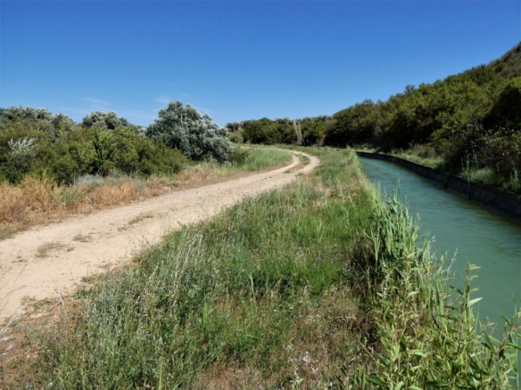 Imagen 3 de Suelo rústico en Venta en Caspe Zaragoza