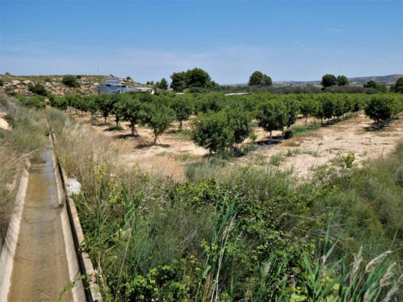 Imagen 2 de Suelo rústico en Venta en Caspe Zaragoza