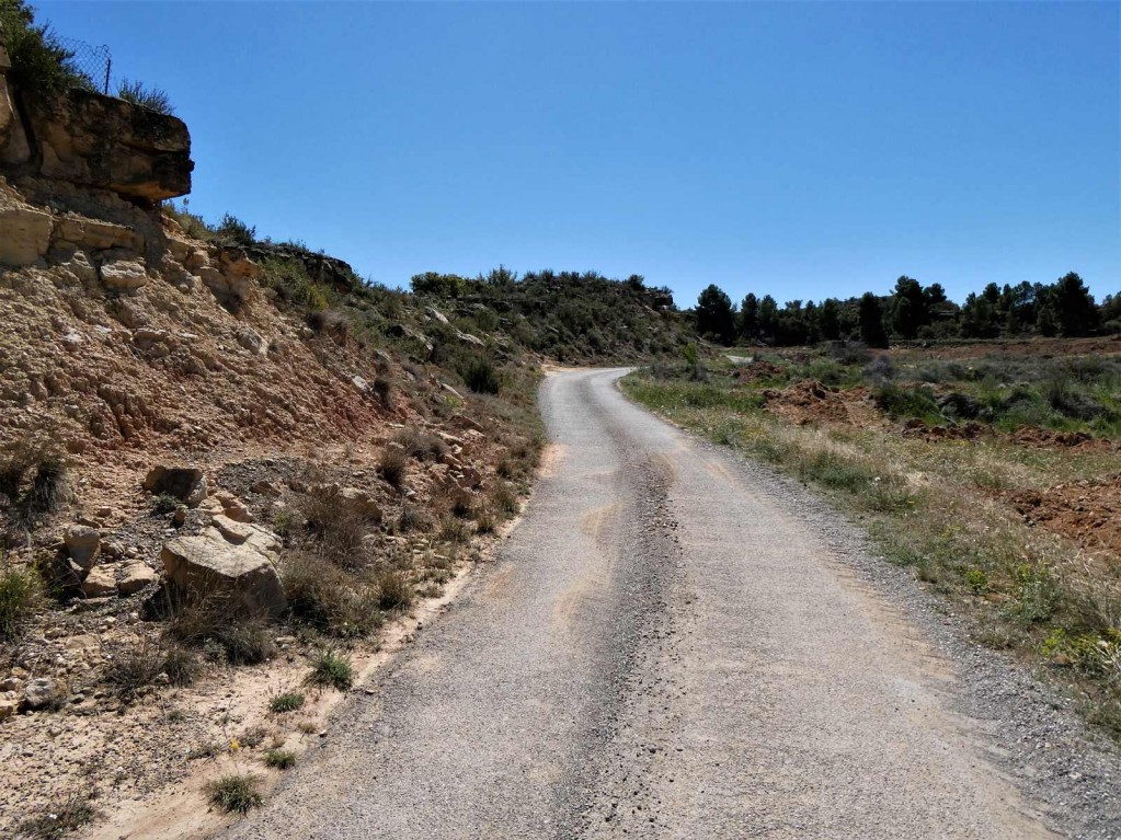 Imagen 2 de Suelo rústico en Venta en Caspe Zaragoza