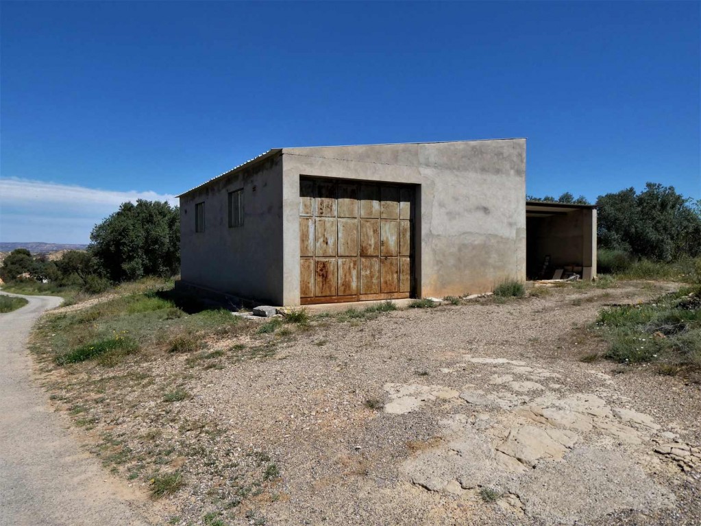 Imagen 3 de Suelo rústico en Venta en Caspe Zaragoza