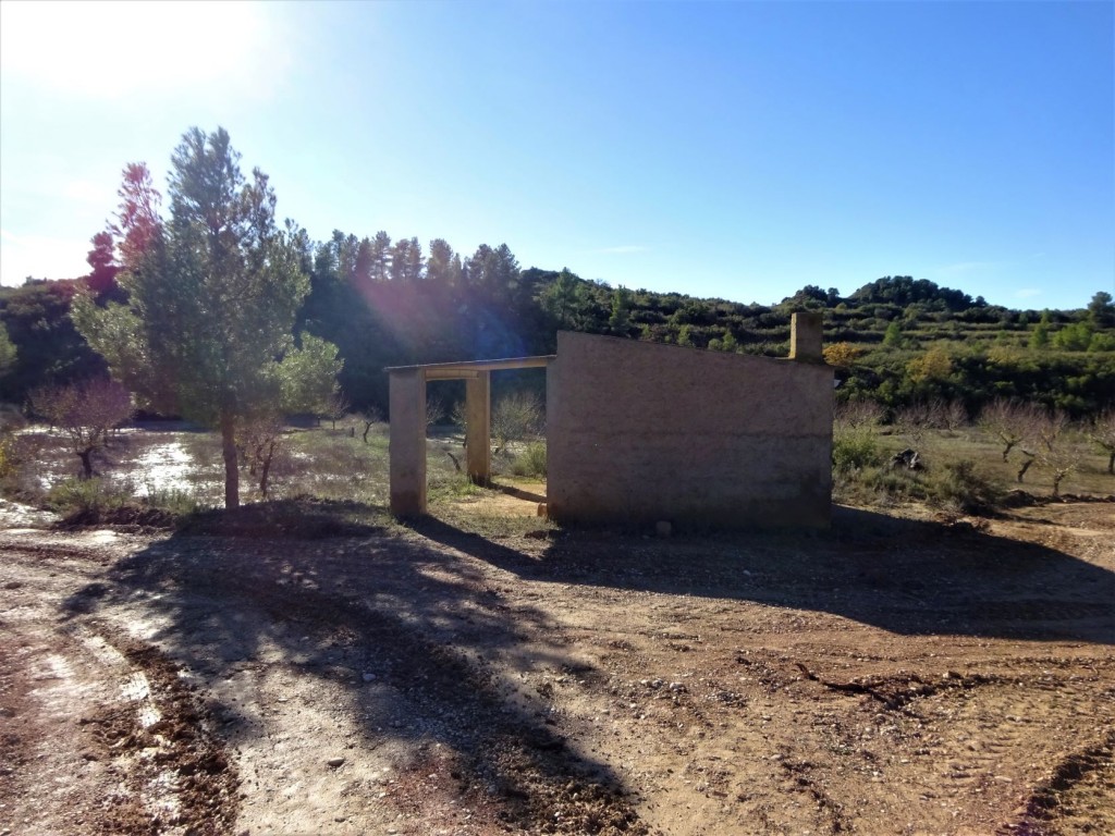 Imagen 4 de Suelo rústico en Venta en Maella Zaragoza