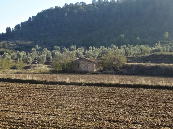 Imagen 1 de Suelo rústico en Venta en Maella Zaragoza