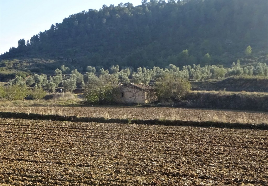 Imagen 1 de Suelo rústico en Venta en Maella Zaragoza