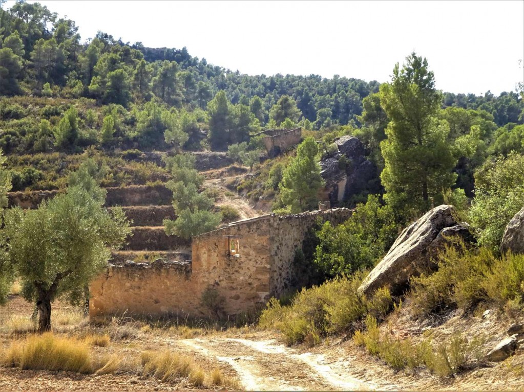 Imagen 1 de Suelo rústico en Venta en Maella Zaragoza