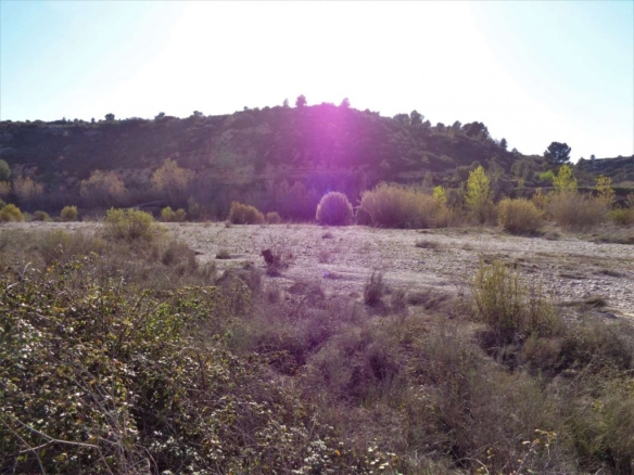 Imagen 2 de Suelo rústico en Venta en Maella Zaragoza