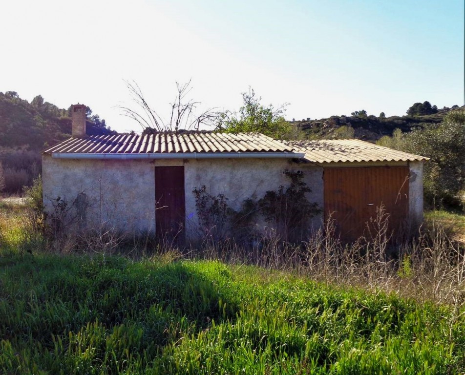 Imagen 1 de Suelo rústico en Venta en Maella Zaragoza