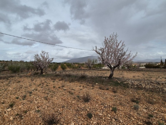Imagen 2 de Fantástico terreno edificable con vistas a la sierra Salinas y al Carche