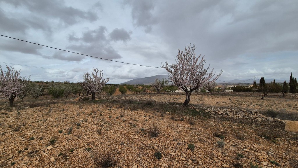 Imagen 2 de Fantástico terreno edificable con vistas a la sierra Salinas y al Carche