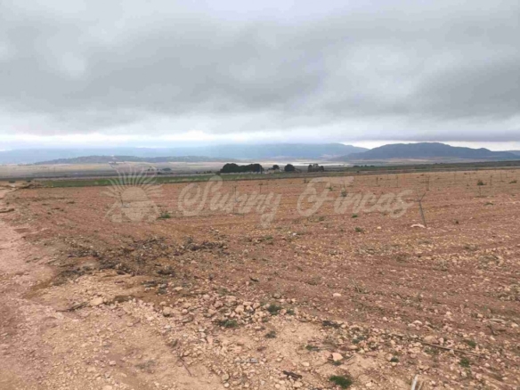Imagen 3 de Suelo urbanizable en Venta en Yecla Murcia